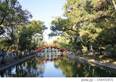 住吉神社太鼓橋 住吉反橋 の写真素材