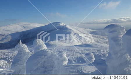 厳冬の蔵王 14046191