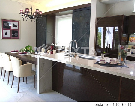 スタイリッシュなダイニングキッチン 14046244