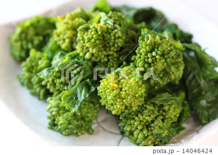 茹で菜の花 14046424