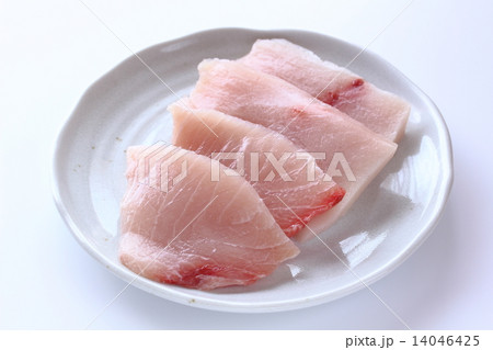 メカジキ 14046425