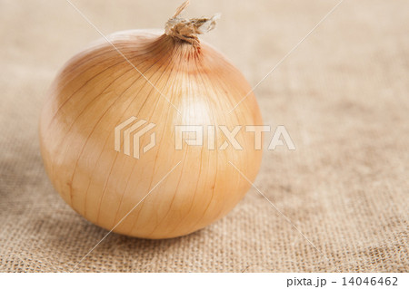 野菜 たまねぎ シンプル・布バックの写真 14046462