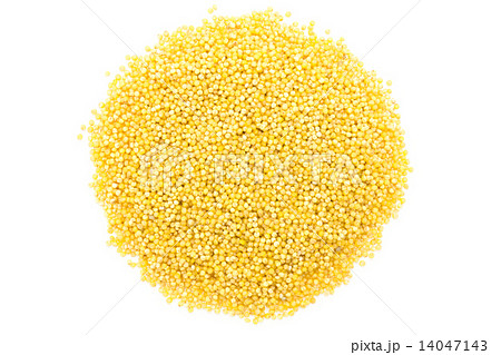 もちあわ もちあわ 14047143