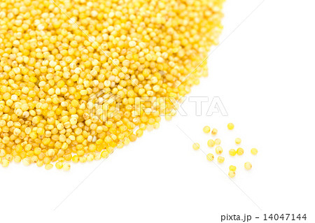 もちあわ 14047144