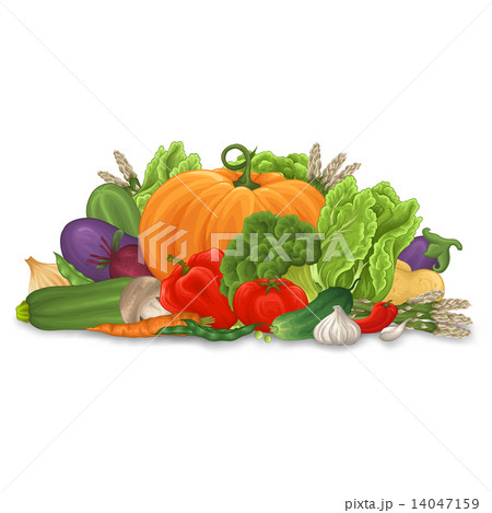 Vegetable background 14047159