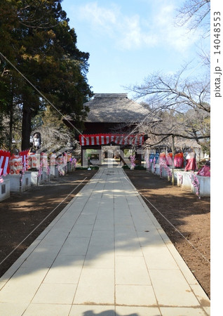 茂林寺の山門･参道（群馬県館林市堀工町1570） 14048553