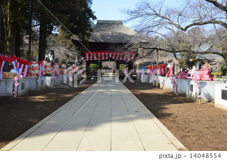 茂林寺の山門・参道(群馬県館林市堀工町1570) 茂林寺の山門・参道(群馬県館林市堀工町1570) 14048554