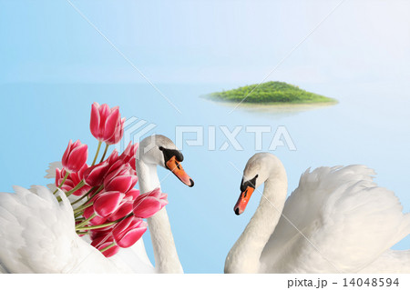 Desert island Desert island 14048594