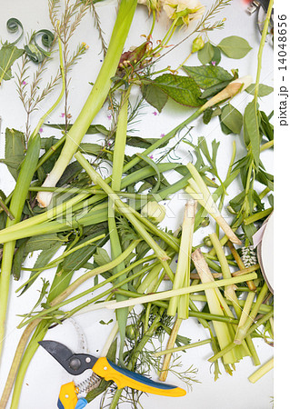 Florist working process. Conceptual photo. Florist working process. Conceptual photo. 14048656