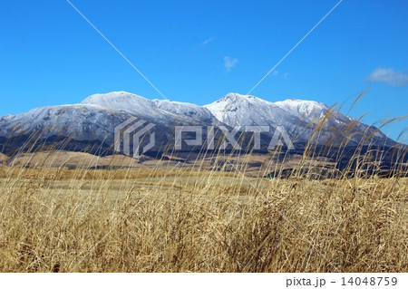 瀬の本高原と雪の九重連山 14048759