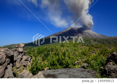 桜島 14049913