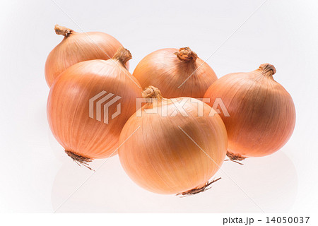 タマネギ 14050037