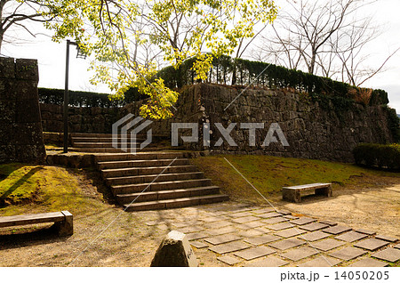 丹鶴城跡 14050205