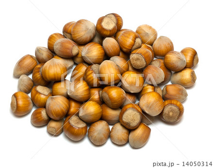 hazelnuts hazelnuts 14050314