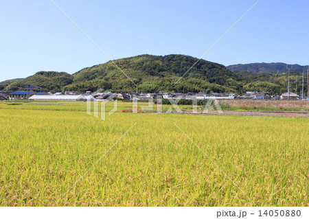 長岡京市 14050880