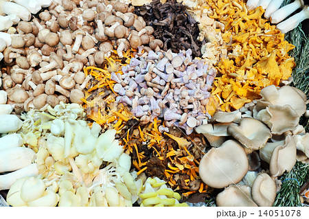 Colourful wild mushrooms on a market stall 14051078