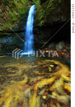 奥多摩・御岳山　七代の滝　水面に浮かぶ落葉の軌跡 14051191