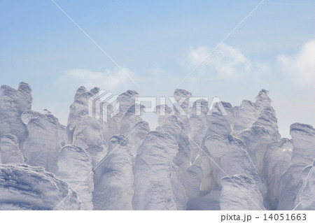 蔵王の樹氷 蔵王の樹氷 14051663