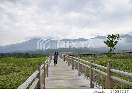 知床連山と高架木道 知床連山と高架木道 14052217