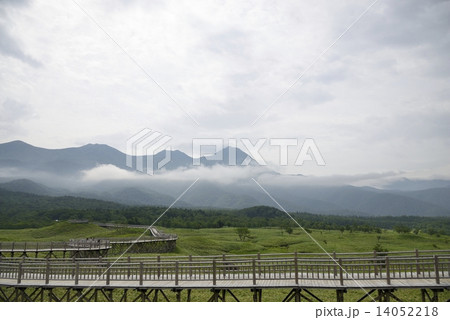 知床連山と高架木道 14052218