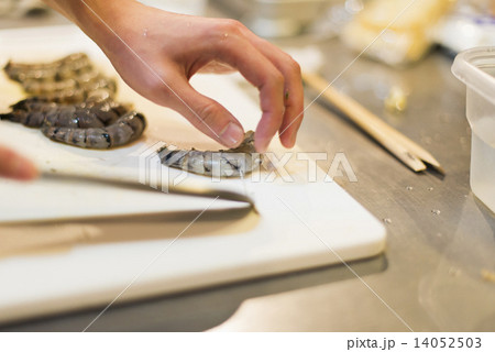 調理師 調理師 14052503