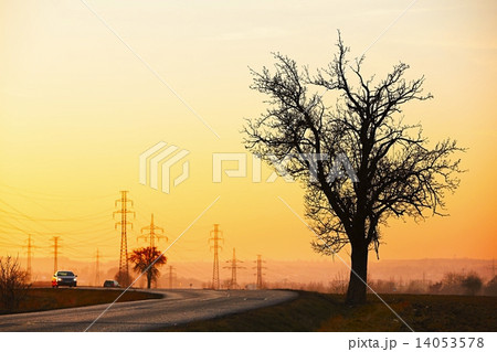 Road at the sunset 14053578