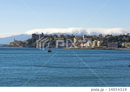 genoa coastal houses cityscape panorama 14054319