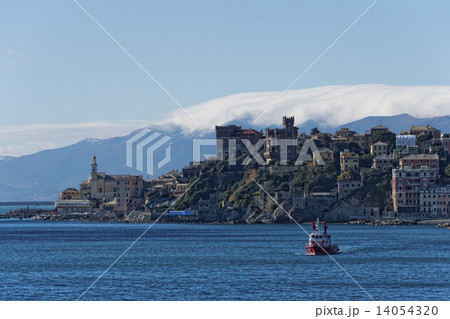 genoa coastal houses cityscape panorama 14054320