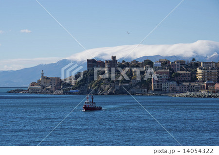 genoa coastal houses cityscape panorama 14054322