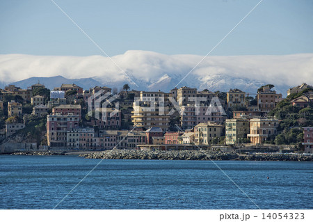 genoa coastal houses cityscape panorama genoa coastal houses cityscape panorama 14054323