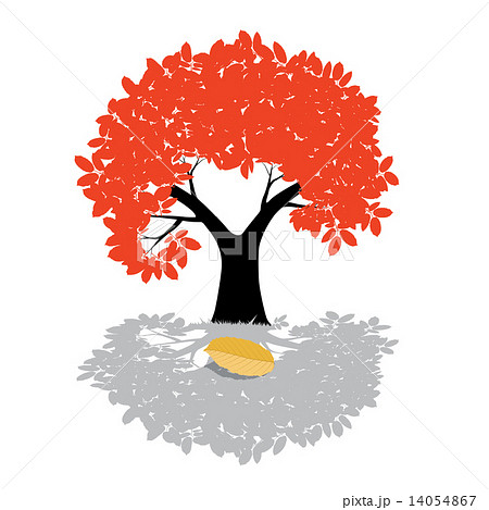 Vector Tree Illustration - Nature Symbol Isolated on White Background 14054867