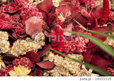Natural Dried Flowers Background Natural Dried Flowers Background 14055510