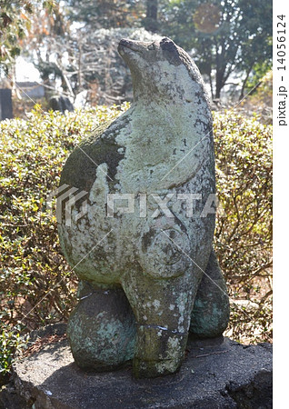 タヌキの石像(茂林寺/群馬県館林市堀工町1570) タヌキの石像(茂林寺/群馬県館林市堀工町1570) 14056124