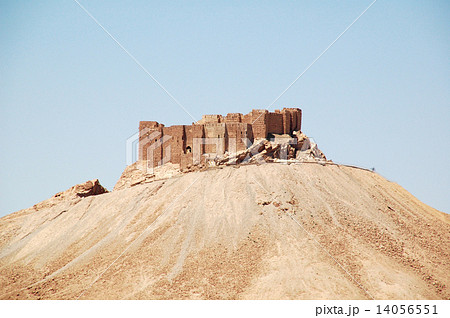 シリア　パルミラ 14056551