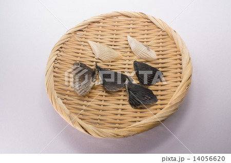 フグヒレ 14056620