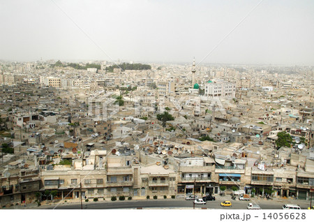 アレッポ　シリア 14056628