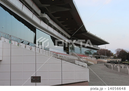 夕暮れの中山競馬場 夕暮れの中山競馬場 14056648