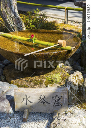 寒椿と水琴窟 14056980