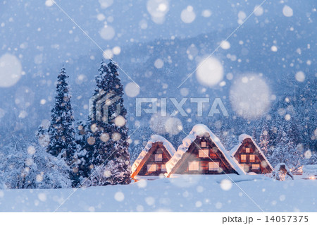 厳冬の白川郷 14057375