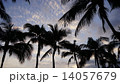 常夏の夕焼 14057679