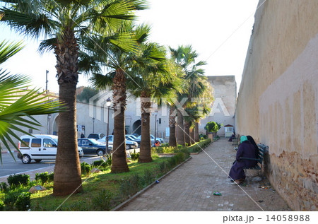 古都メクネスの王宮の高い城壁に挟まれたの長い風の道の入り口、リフ門 古都メクネスの王宮の高い城壁に挟まれたの長い風の道の入り口、リフ門 14058988