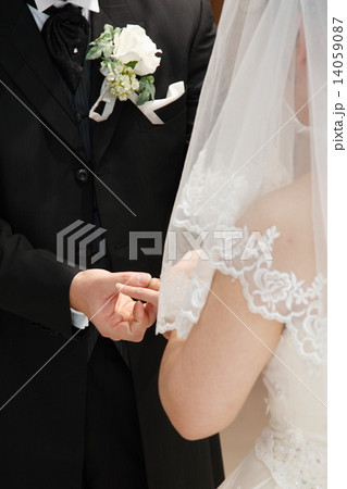 指輪交換 14059087