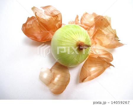 料理の下ごしらえ 玉ねぎの皮をむく 料理の下ごしらえ 玉ねぎの皮をむく 14059267