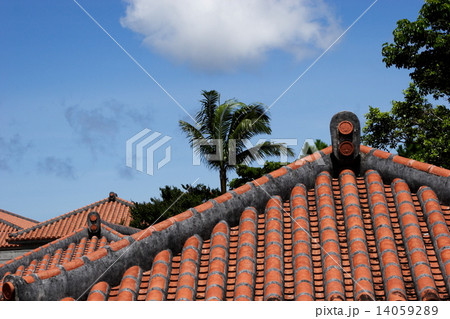 赤瓦屋根 14059289