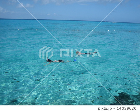 カリブ海でシュノーケル カリブ海でシュノーケル 14059620