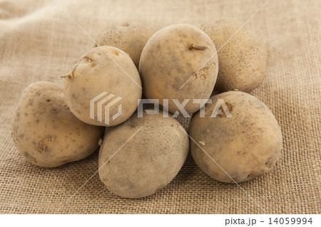 野菜 じゃがいも シンプル・布バックの写真 野菜 じゃがいも シンプル・布バックの写真 14059994