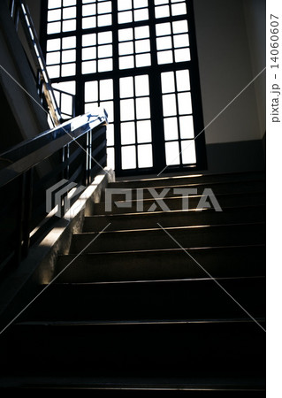 to the light  14060607