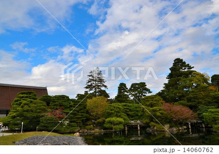 京都御所の庭園 京都御所の庭園 14060762