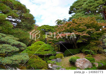 京都御所の庭園 14060773