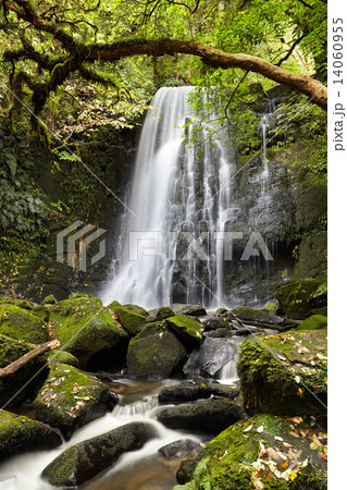 Matai Falls, New Zealand 14060955